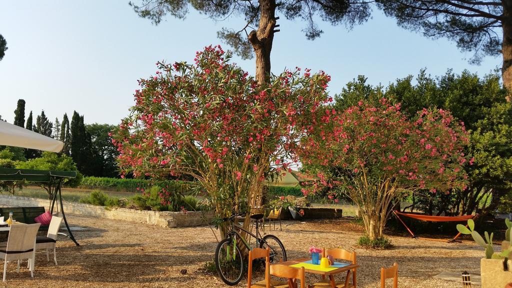 Agriturismo Occhineri 포르토 세자레오 외부 사진