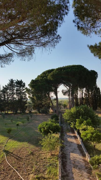 Agriturismo Occhineri 포르토 세자레오 외부 사진