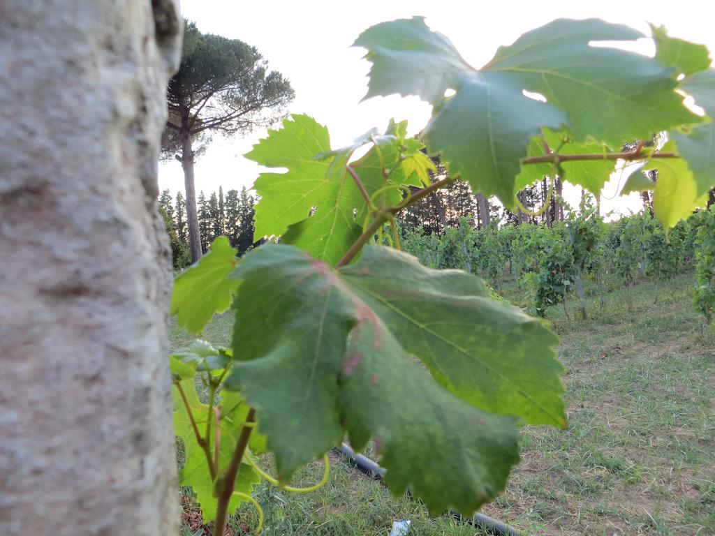 Agriturismo Occhineri 포르토 세자레오 외부 사진