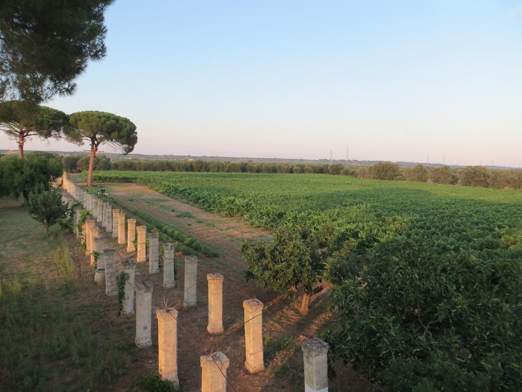 Agriturismo Occhineri 포르토 세자레오 외부 사진