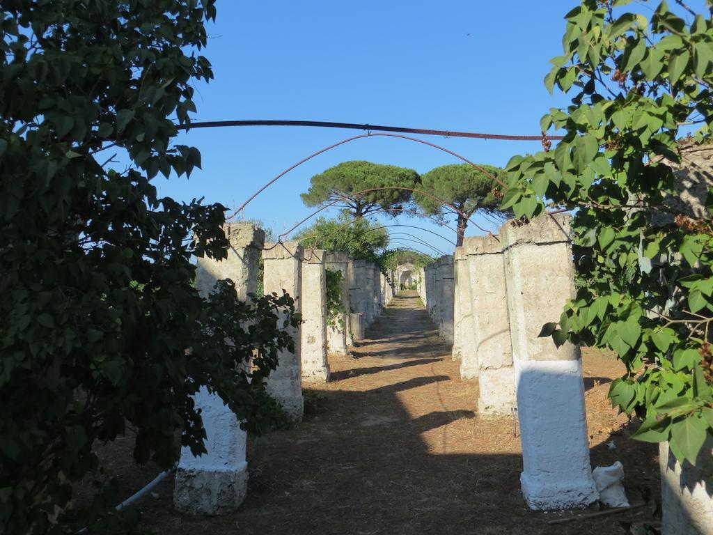 Agriturismo Occhineri 포르토 세자레오 외부 사진