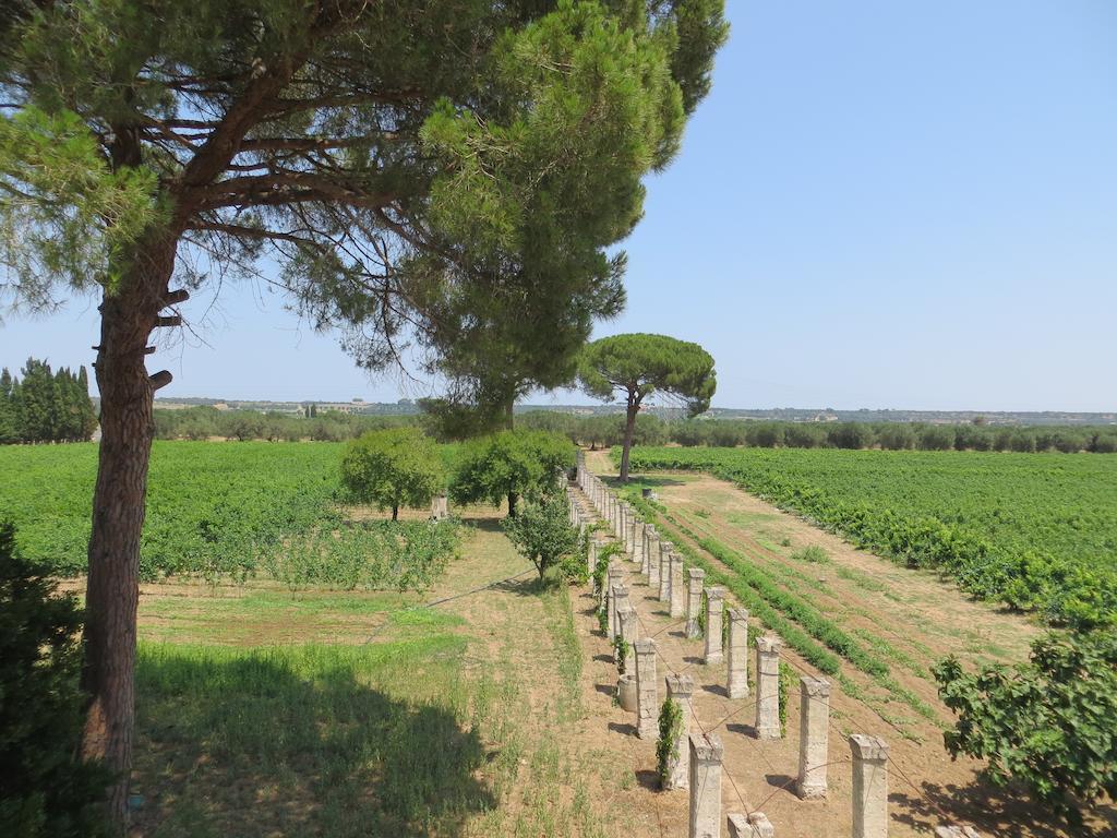 Agriturismo Occhineri 포르토 세자레오 외부 사진